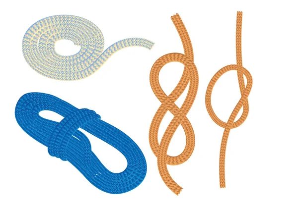 Cordes et nœuds — Image vectorielle