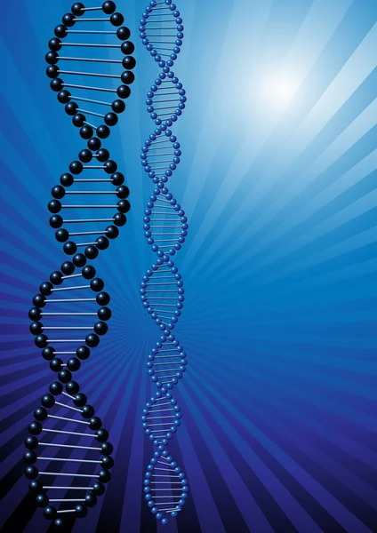 ДНК — стоковий вектор