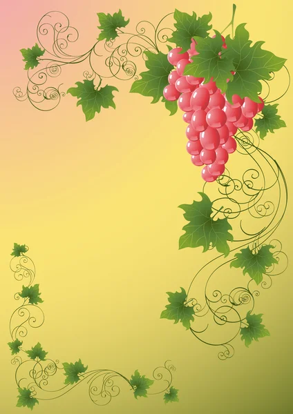 _ fond de vigne — Image vectorielle