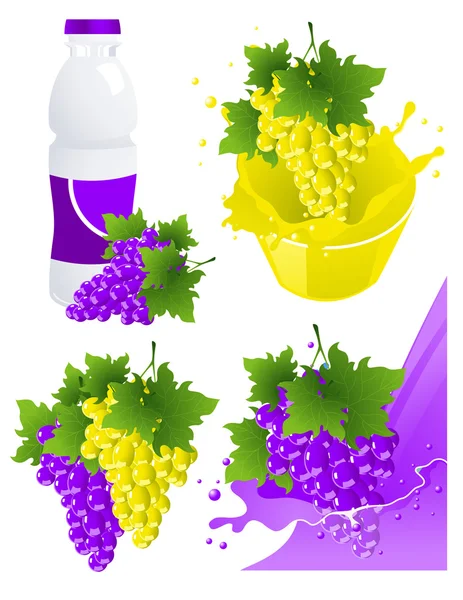 Produits viticoles — Image vectorielle
