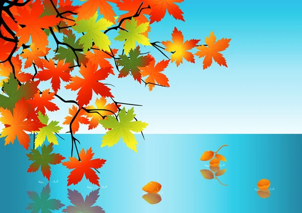 Reflexão da folha de outono na água — Vetor de Stock