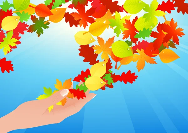Autumn leaf in human hands — Stock Vector