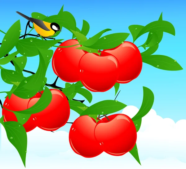 Branche de pomme rouge — Image vectorielle