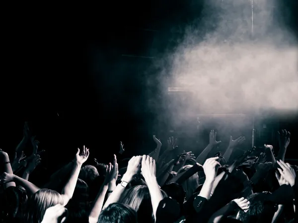 Concert crowd Royalty Free Stock Images