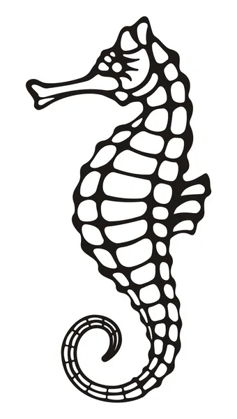 Seahorse — Stock Vector