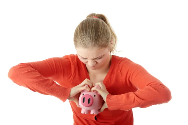 stock image Piggy bank
