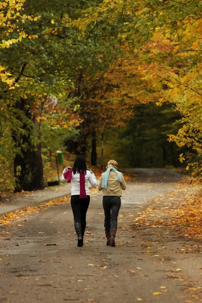 Promenera på hösten — Stockfoto