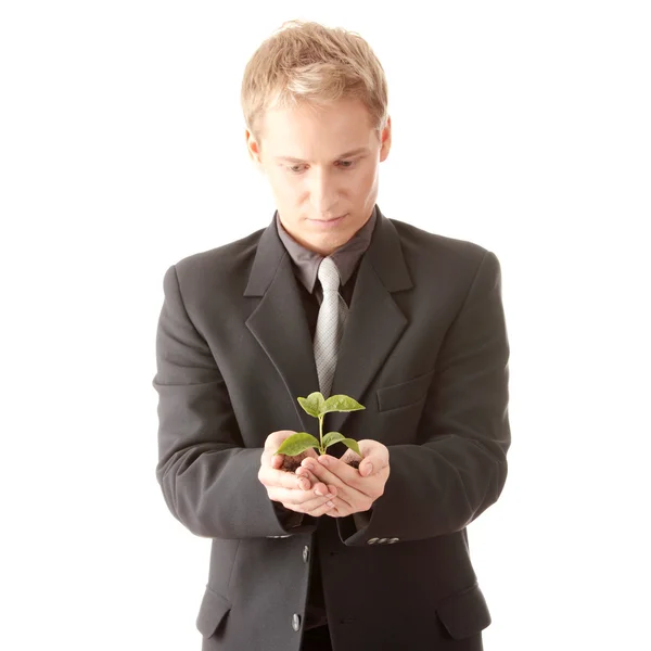 Человек в костюме держит в руках маленькое растение — стоковое фото