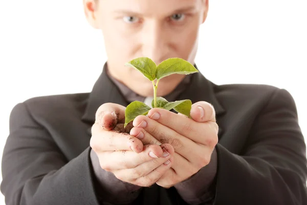 Человек в костюме держит в руках маленькое растение — стоковое фото
