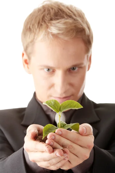 Mann im Anzug hält kleine Pflanze in den Händen — Stockfoto
