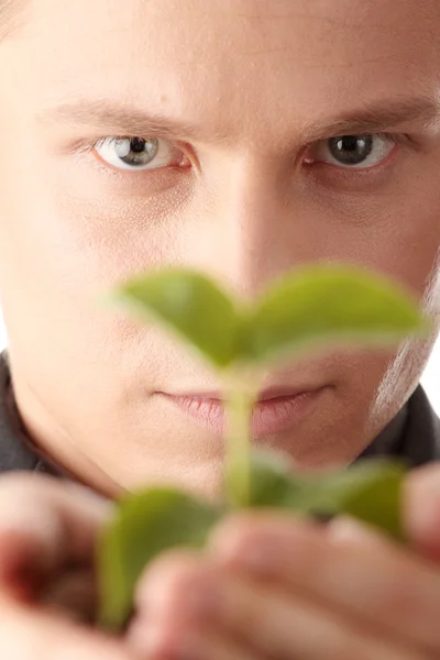 Hombre de traje sosteniendo planta smal en sus manos —  Fotos de Stock