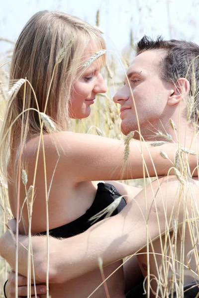 A beautiful couple in wheat field — Stock Photo, Image