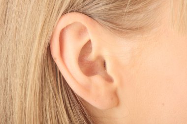 Closeup picture of blond girl ear clipart