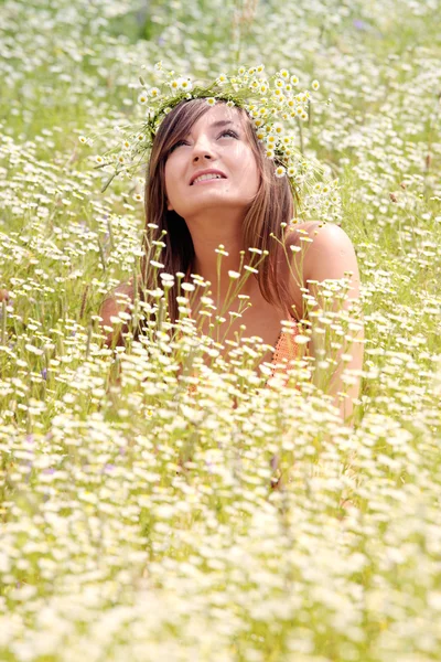 Beautiful young woman on the meadow — Stock Photo, Image