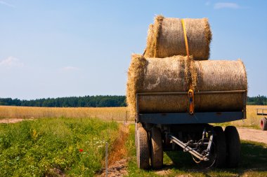 Hay harvest clipart