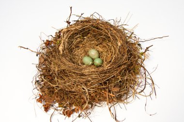 Bird's nest clipart