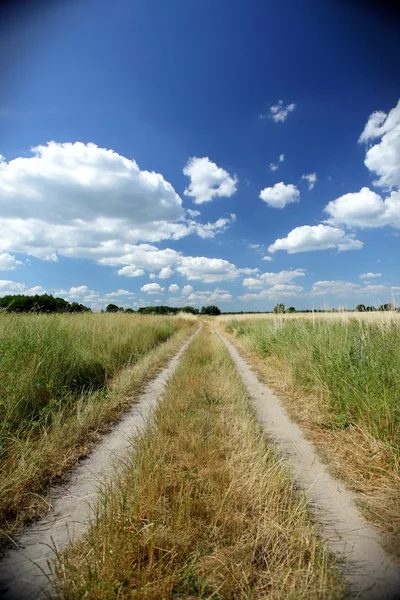 stock image Dirt path between the fields