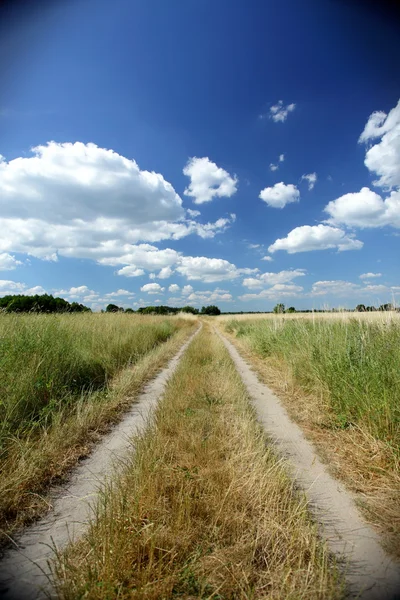 Stock image Dirt path between the fields