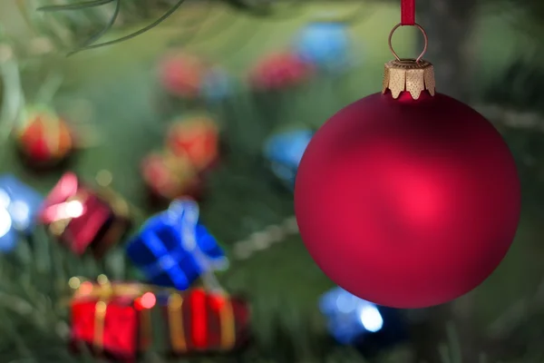 Bola de vidrio rojo y árbol perenne de Navidad — Foto de Stock