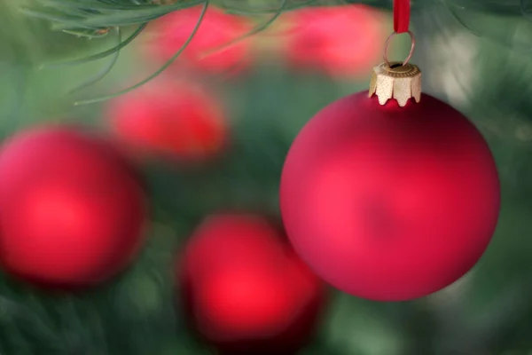 Boule de verre rouge et arbre à feuilles persistantes de Noël — Photo