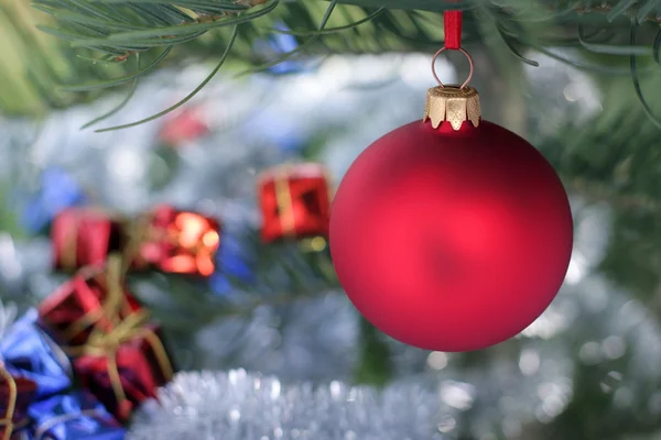 Červené sklo koule a vánoční jehličnatý strom Royalty Free Stock Fotografie