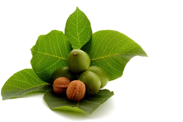 stock image Time for autumn fruits, walnut on green