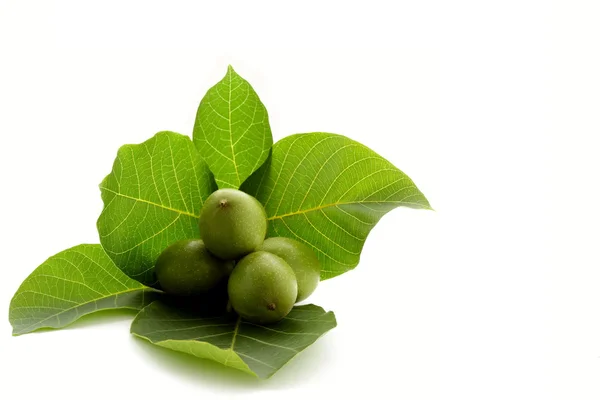 Čas na podzim ovoce, ořech na zelené — Stock fotografie