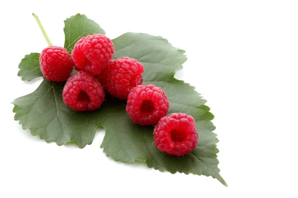 Berries ripe, red raspberry with green leaf — Stock Photo, Image
