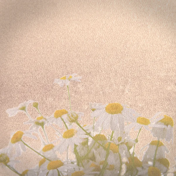Textura de papel velho com flores — Fotografia de Stock