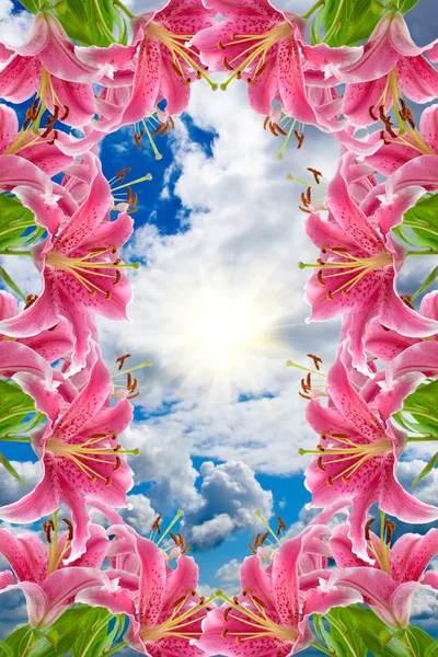 Frame of pink lilies — Stock Photo, Image