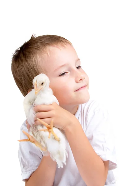 Смешной мальчик с курицей — стоковое фото