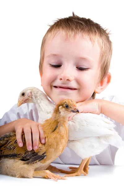 Garçon drôle avec des poulets — Photo