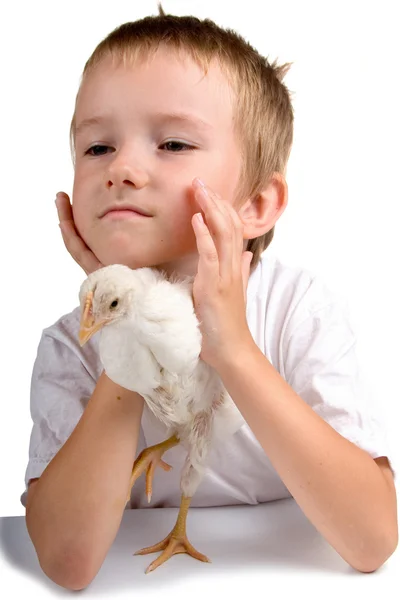 Funny boy with chicken — Stock Photo, Image