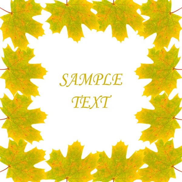 秋のカエデの葉のフレーム — ストック写真