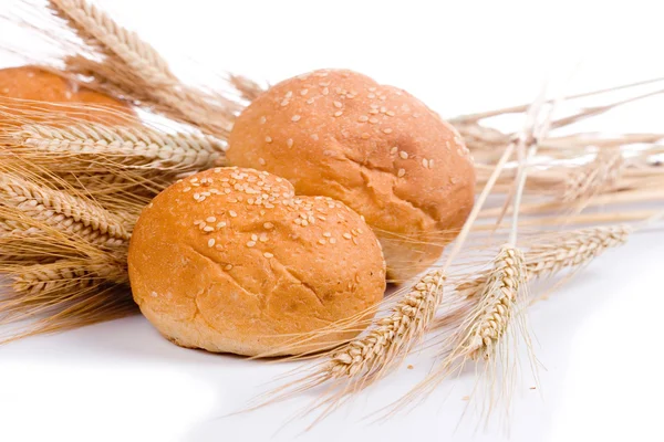 Pão fresco com espigas de trigo — Fotografia de Stock