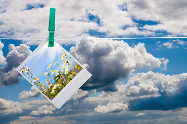 Blauwe hemel met hangende foto van bloemen — Stockfoto