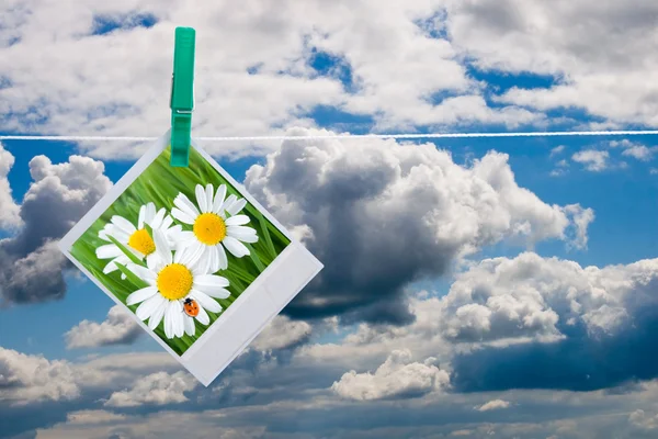Blue sky with hanging photo of flowers — Stock Photo, Image