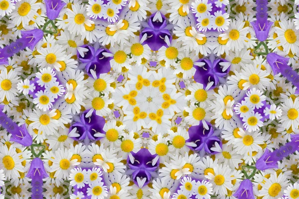 Kaleidoscope with chamomiles and campanulas — Stock Photo, Image