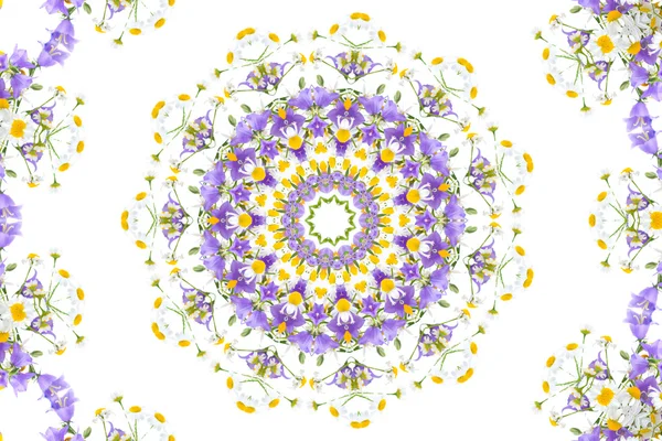 Kaleydoskop ile chamomiles ve campanulas — Stok fotoğraf