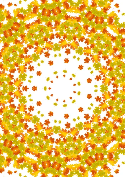 Kaleidoskop der Herbstblätter — Stockfoto