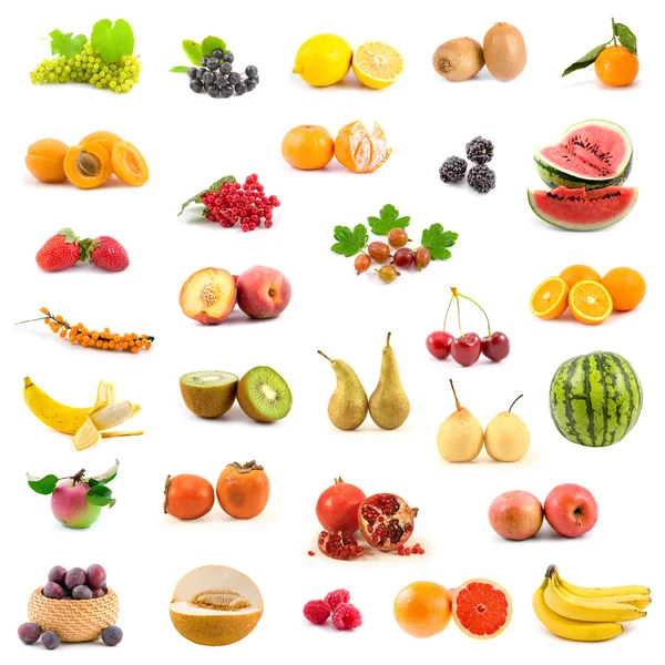Große Sammlung von Früchten — Stockfoto