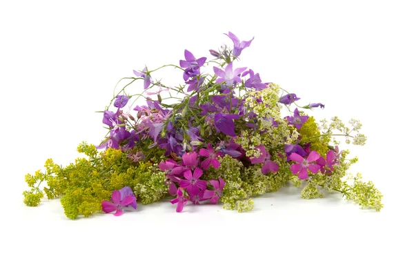 Krásná kytice divokých květin — Stock fotografie