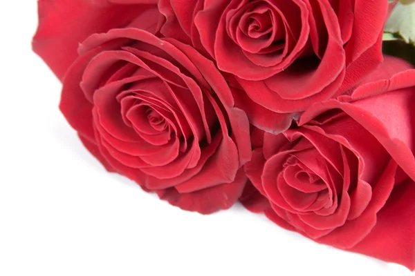 Mooi boeket rozen — Stockfoto