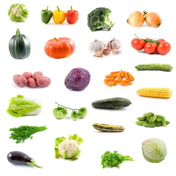 Grote verzameling van groenten Stockfoto