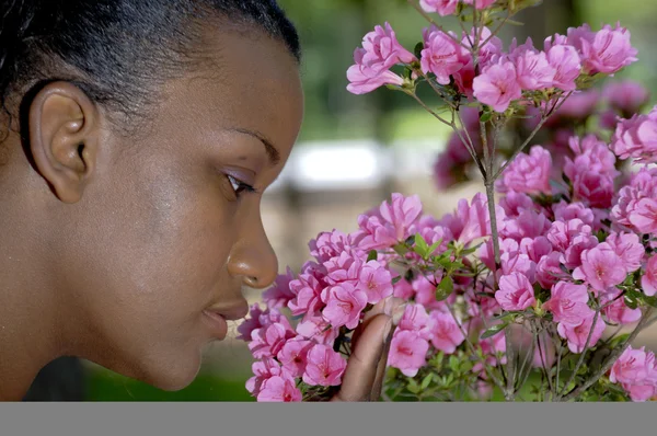 Smelling Flowers — Stock Photo, Image