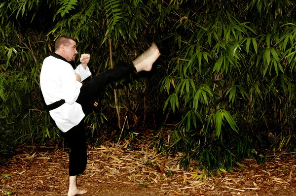 Karate Man — Stockfoto