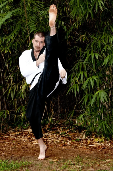 Człowiek Karate — Zdjęcie stockowe