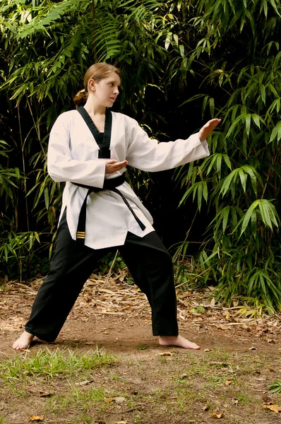 Karate girl — Stock fotografie