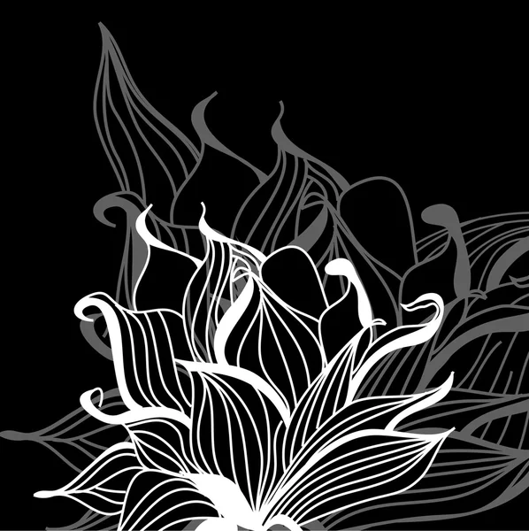 黒の上の元の花 — ストックベクタ