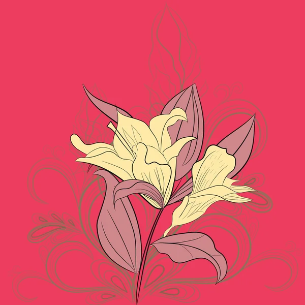 Lily blommor på rosa bakgrund — Stock vektor